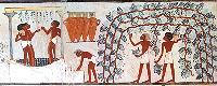 Egyptian wine-making from the tomb of Nakht, c. 1400BC